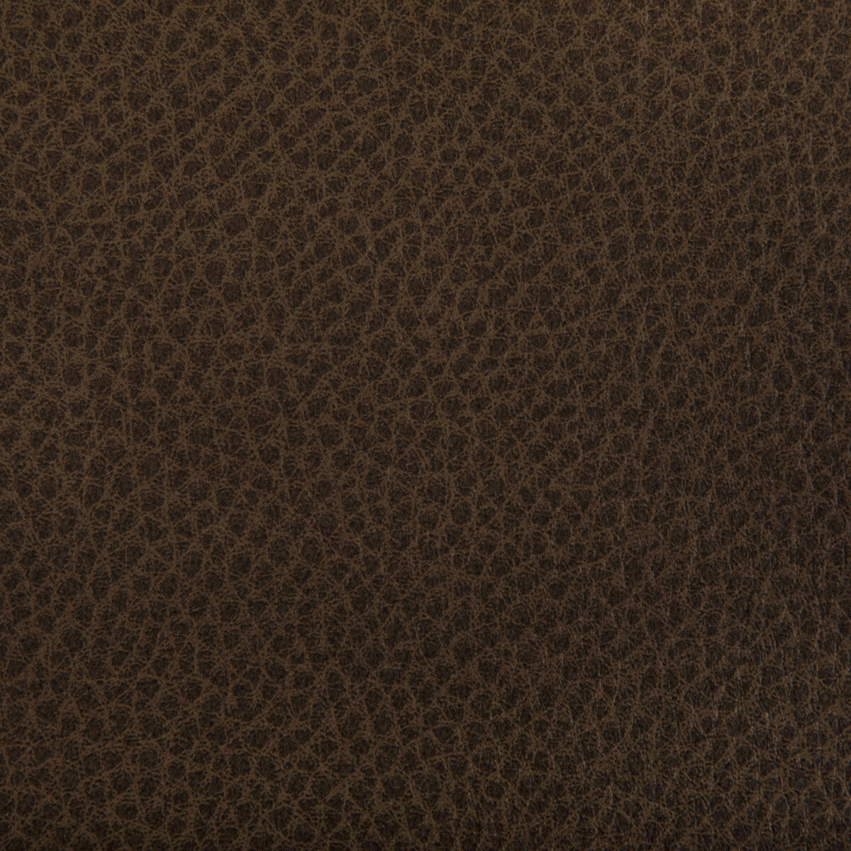 KRAVET CONTRACT WOOLF TOBACCO