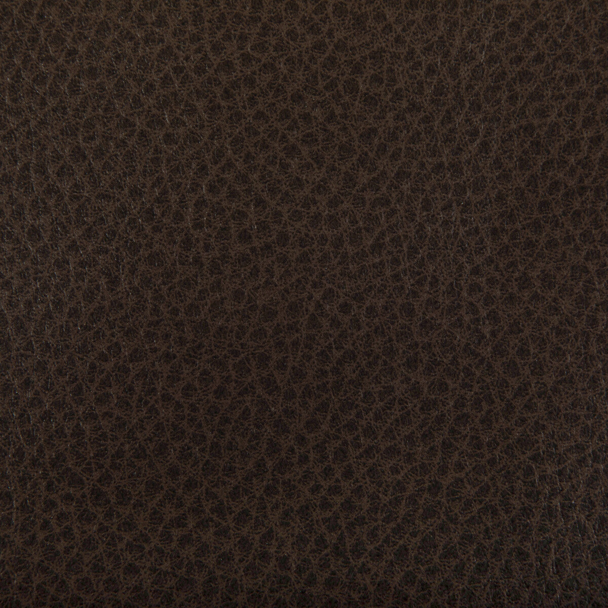 KRAVET CONTRACT WOOLF COCOA