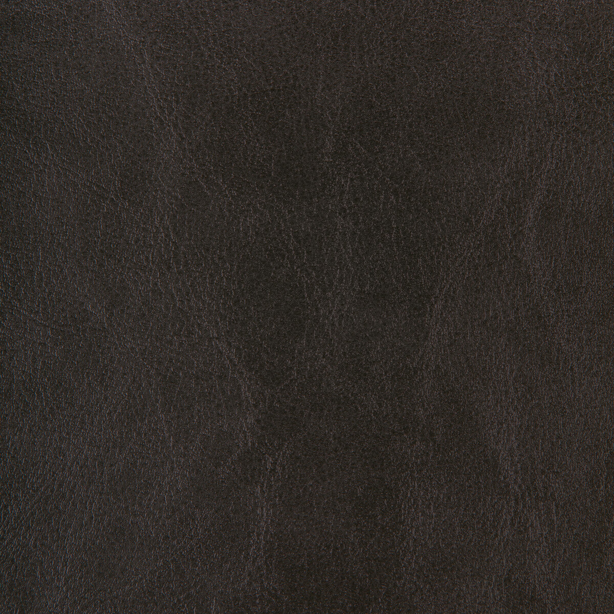 KRAVET DESIGN KRAVET DESIGN ZENON-8