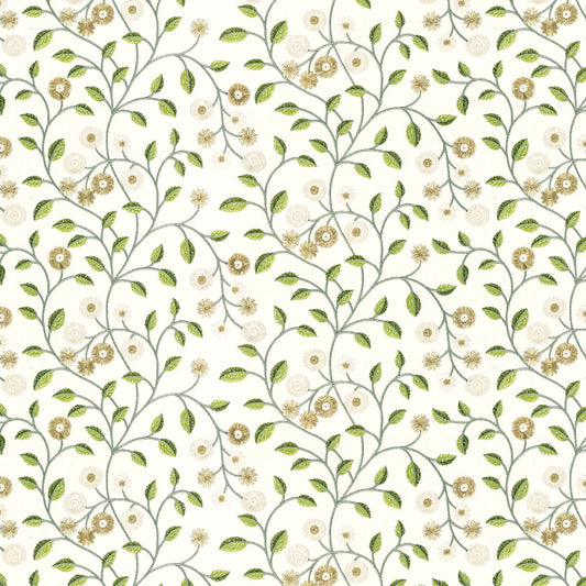 Stout: Alma 1 Avocado