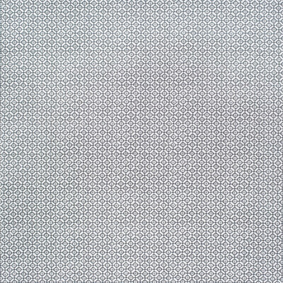 Andrew Martin Sophie Patterson for Kravet: Audley Outdoor AM100386.21.0 Storm