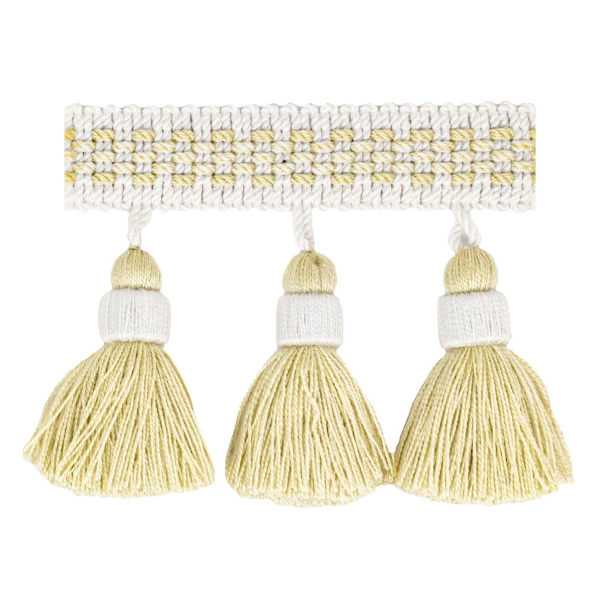 Stout: Athena 2 Champagne