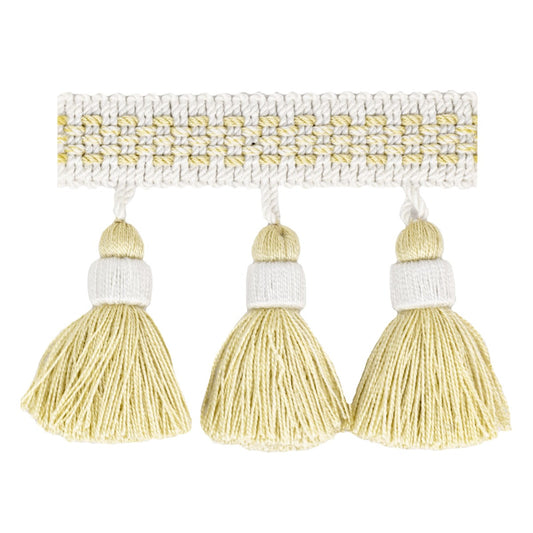 Stout: Athena 2 Champagne