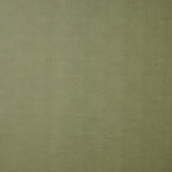 Maxwell: Bilbao #59 Spring