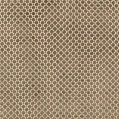 GP&J Baker: Indus Velvet BF10826.240.0 Mole