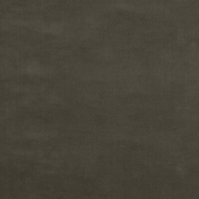 GP&J Baker: Baker House Velvet BF10838.943.0 Pigeon