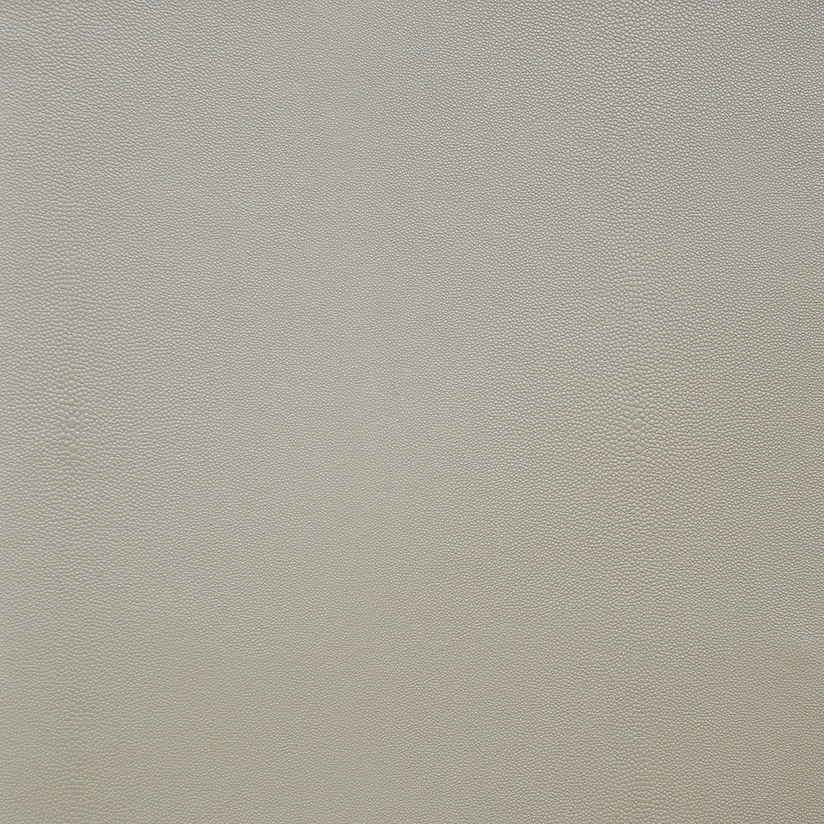 Maxwell: Bewitched #3008 Quartz