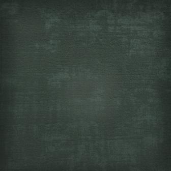 Maxwell: CARLOTTA # 733 CYPRESS