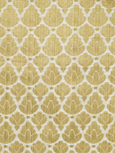 Colony for Scalamandre: Rondo CL 0021 26714 Oro