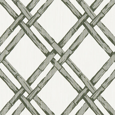 Clarke & Clarke: Bhutan F1287/01.CAC.0 Charcoal