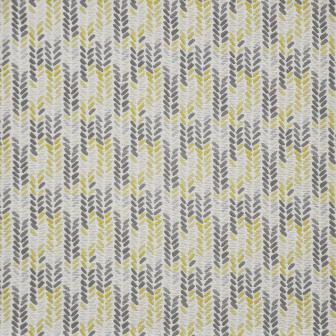 Maxwell: FLEDGELING # 244 GRAIN