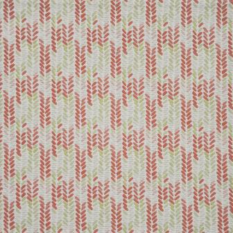 Maxwell: FLEDGELING # 425 CORAL