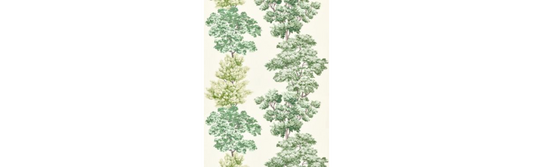 Scalamandre: Central Park Fabric  CN 0071 0001 Green