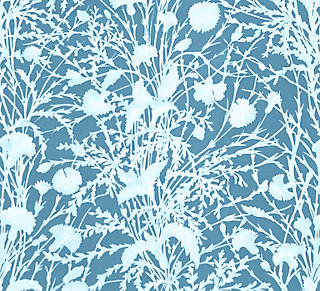 Grey Watkins for Scalamandre: Wildflower GW 0005 16623 Blueprint