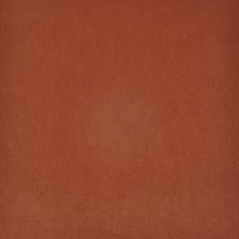 Maxwell: HEDI  # 726 TANGELO