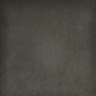 Maxwell: HEDI  # 770 MUSHROOM