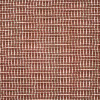 Maxwell: HILT # 426 PAPAYA