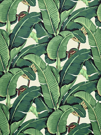 Scalamandre: Hinson Palm HN 0001 42010 Green Cotton Print