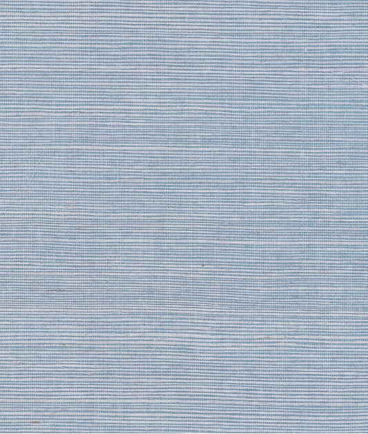 York Maguey Sisal in Cornflower GV1060NW