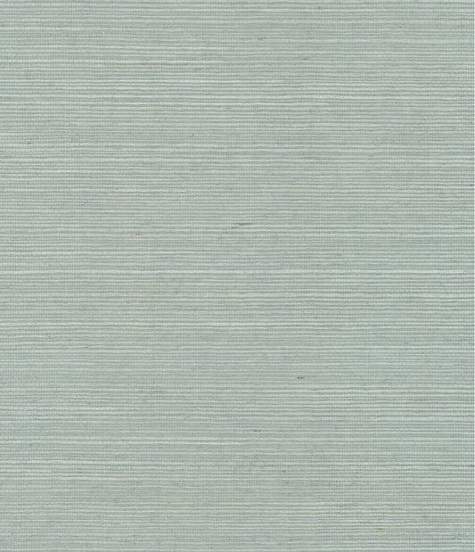 York Maguey Sisal in Blue VX2269NW