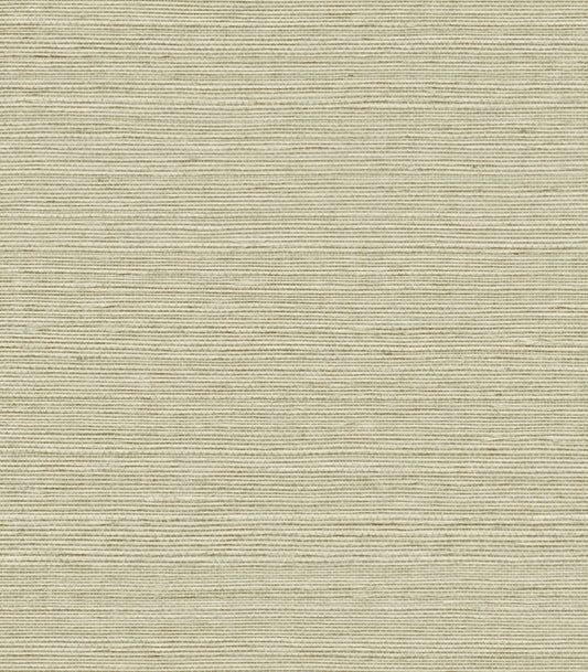 York Maguey Sisal in Celery GV0143NW