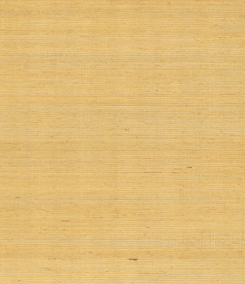 York Maguey Sisal in Gold & Beige GV0114NW