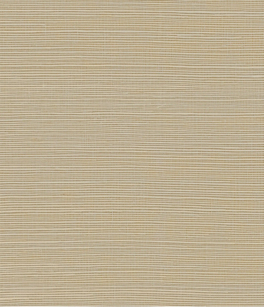 York Maguey Sisal in Almond GV0105NW