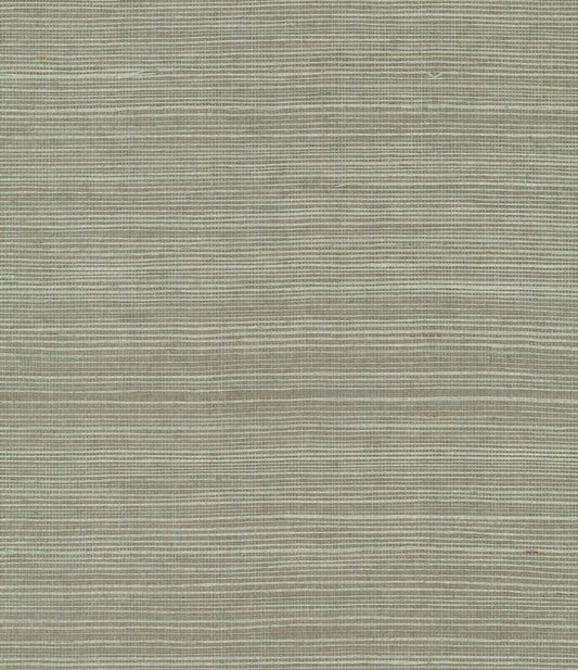 York Maguey Sisal in Pine GV0144NW