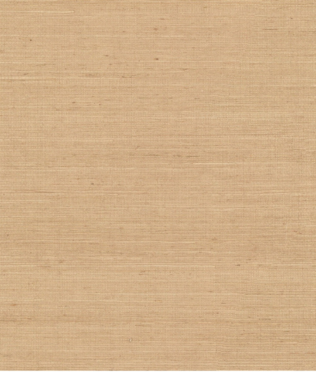 York Maguey Sisal in Dove VG4402NW