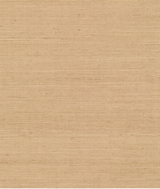 York Maguey Sisal in Dove VG4402NW