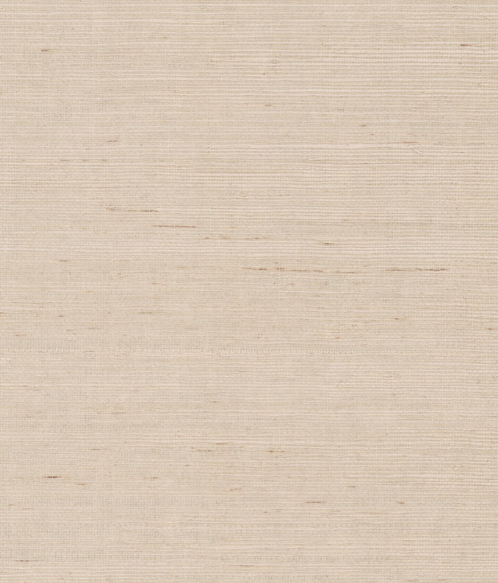 York Maguey Sisal in Grey & Taupe NZ0791NW