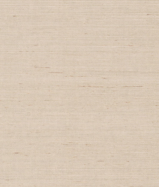 York Maguey Sisal in Grey & Taupe NZ0791NW