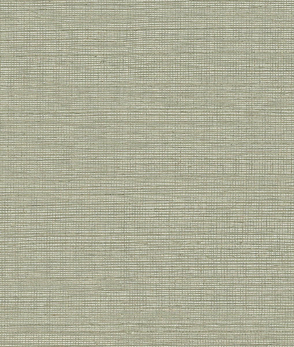 York Maguey Sisal in Putty GV0175NW