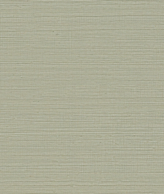 York Maguey Sisal in Putty GV0175NW