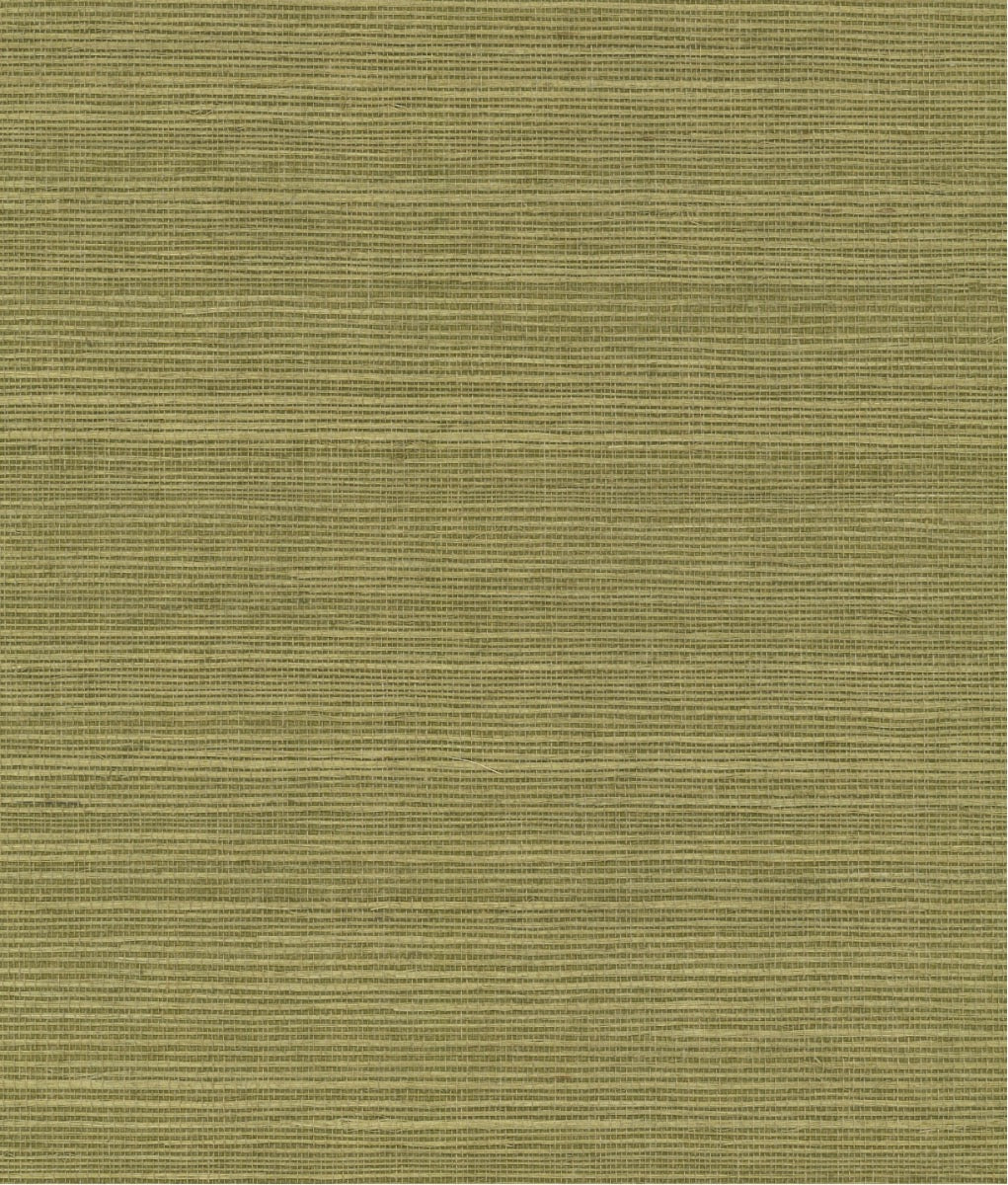 York Maguey Sisal in Fern GV0145NW