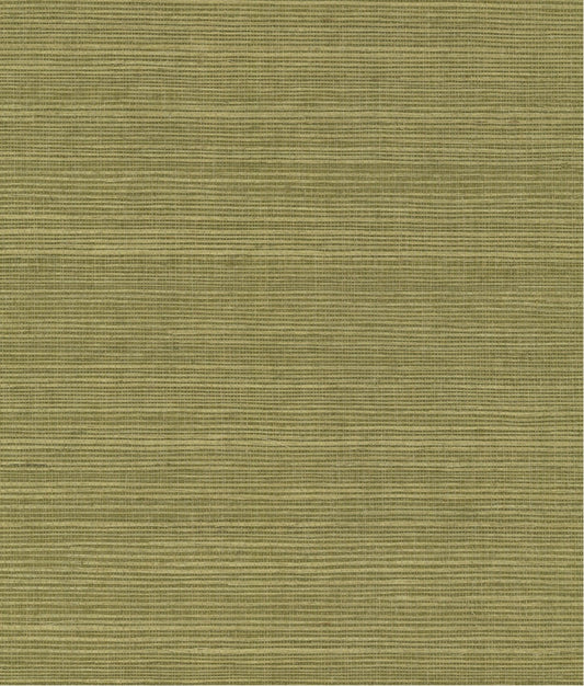 York Maguey Sisal in Fern GV0145NW