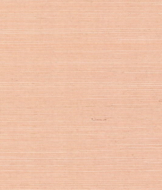 York Maguey Sisal in Cameo GV0126NW