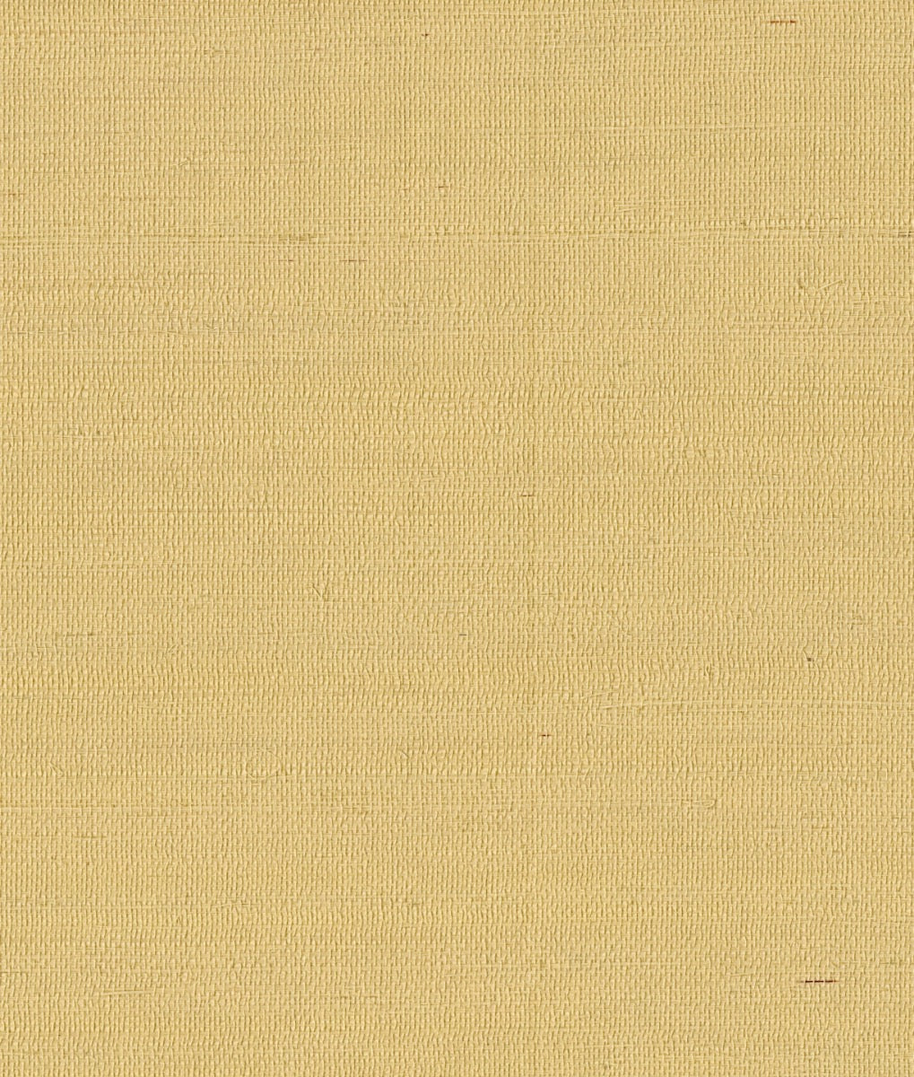 York Maguey Sisal in Straw GV0113NW