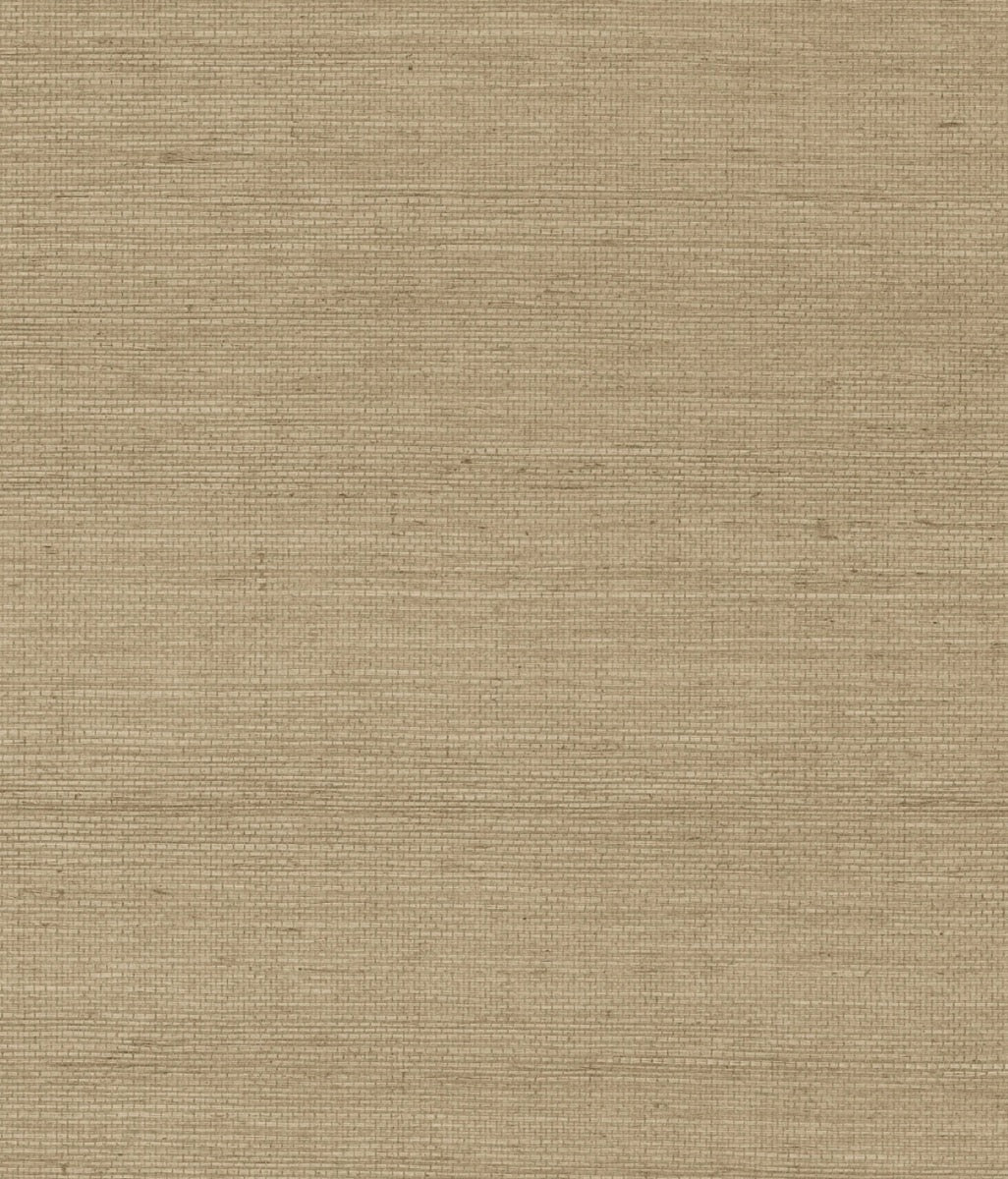 York Maguey Sisal in Dune GV0106NW