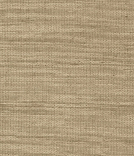 York Maguey Sisal in Dune GV0106NW