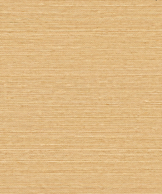 York Maguey Sisal in Sand GV0112NW