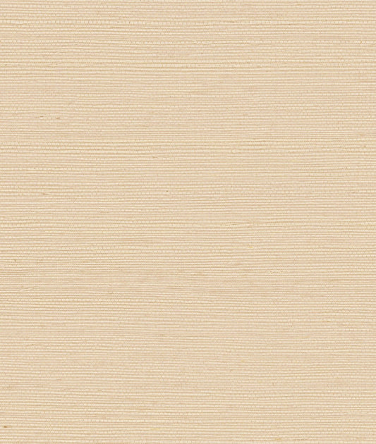 York Maguey Sisal in Buff GV0110NW