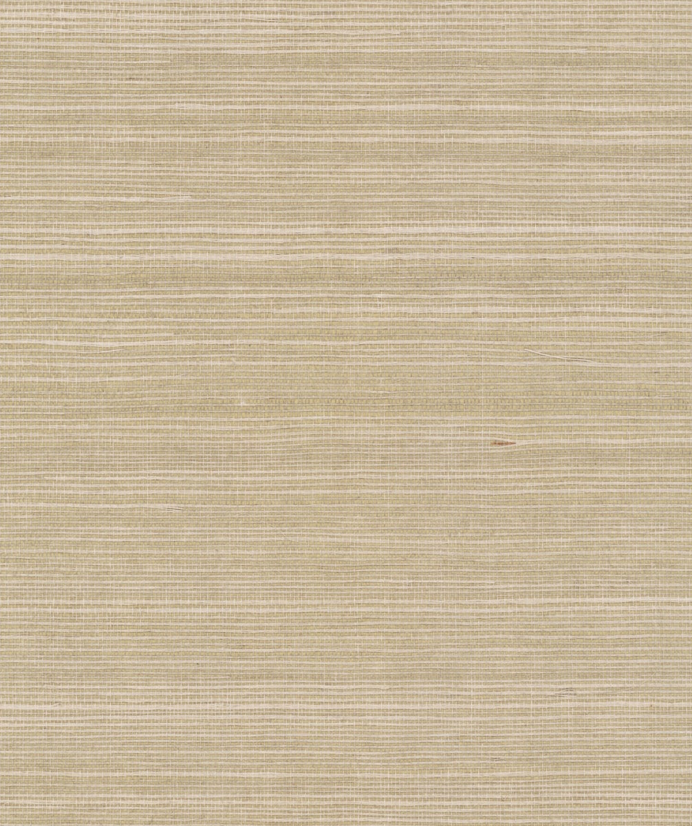 York Maguey Sisal in Mushroom GV0176NW