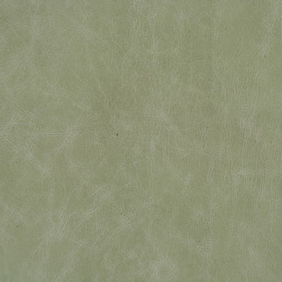 Kravet: L-Cuero L-CUERO.EUCALYPTUS.0 Eucalyptus