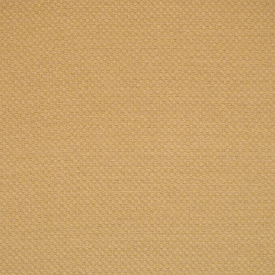 Alaxi: Serenity Sunbrella Luxe Cornsilk