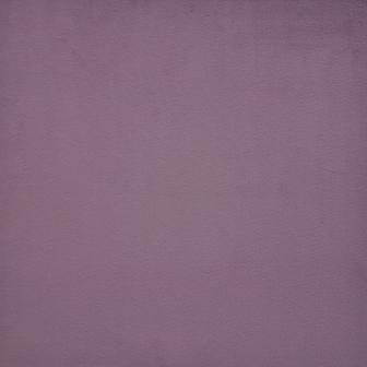 Maxwell: NOVARRO # 754 CROCUS