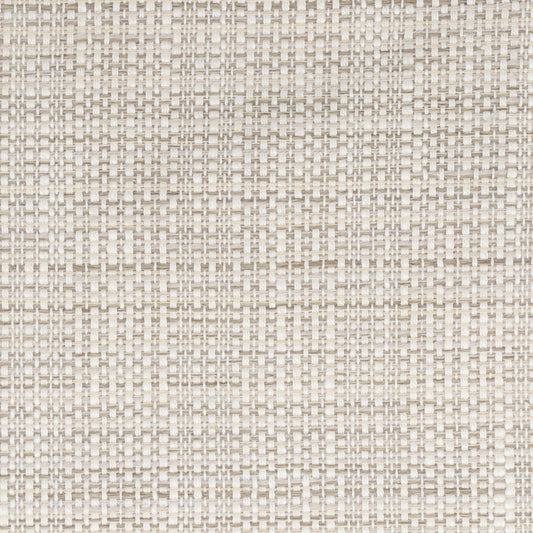 Stout: Parody 1 Mushroom