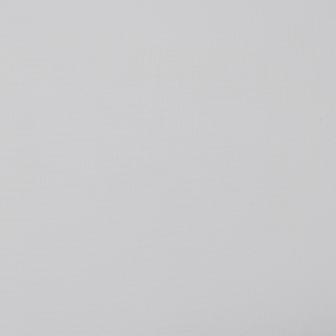 Maxwell: PANDA # 314 HAIL