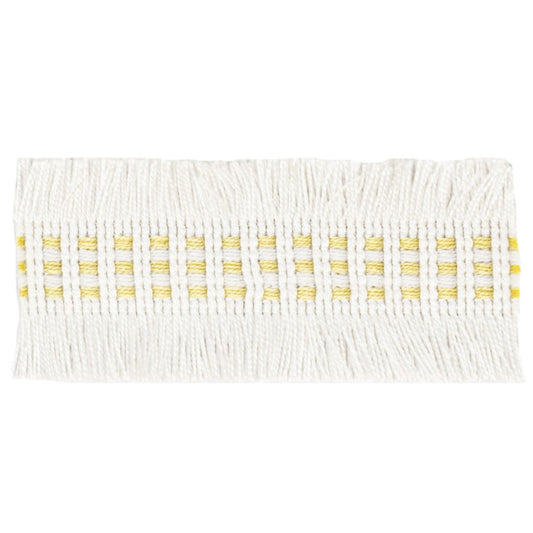 Stout: Racine 2 Champagne