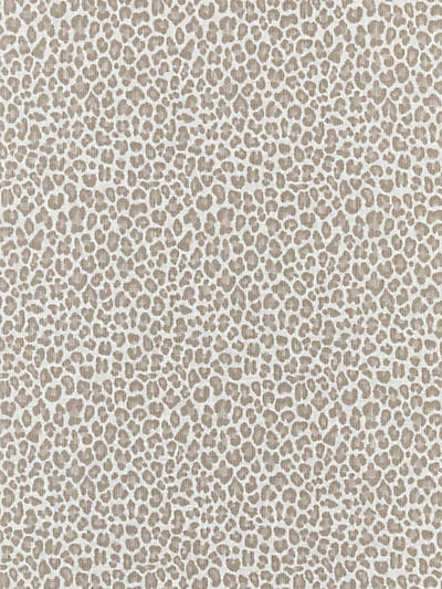 Scalamandre: Backyard Bengal Outdoor SC 0001 27316 Limestone